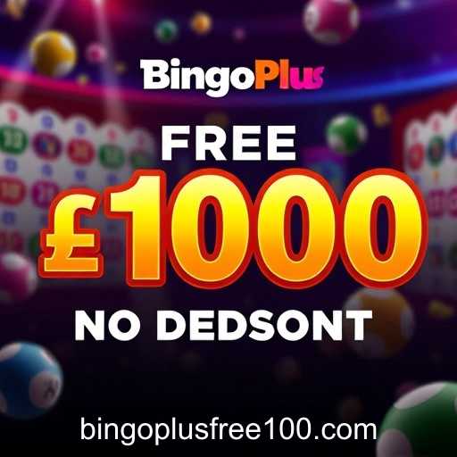 Bingo Plus Offers New Gaming Experience