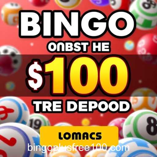 Exploring the Popularity of Online Bingo Platforms